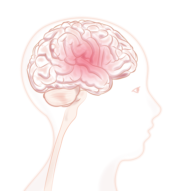 Illustration of brain networks